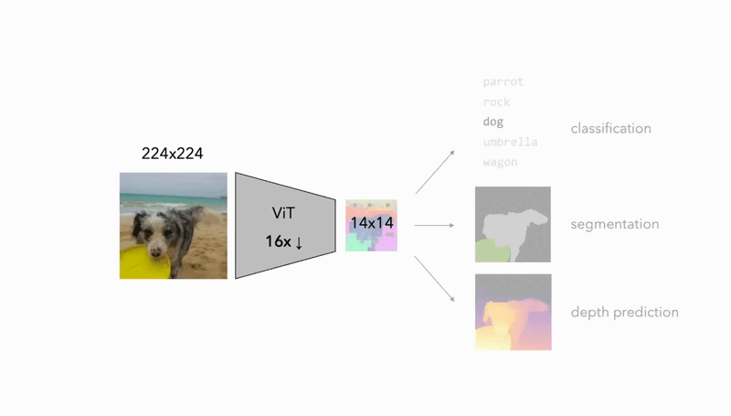ezgif-3-818dba45db.gif